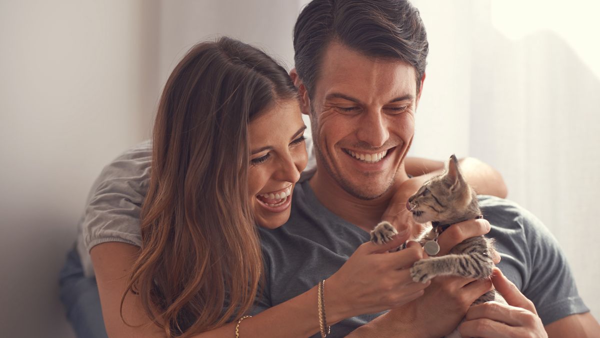 couple with kitten