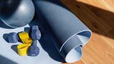 A collection of fitness equipment laid out on a wooden floor