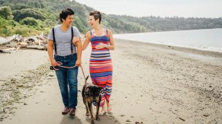 Couple walking on beach with dog