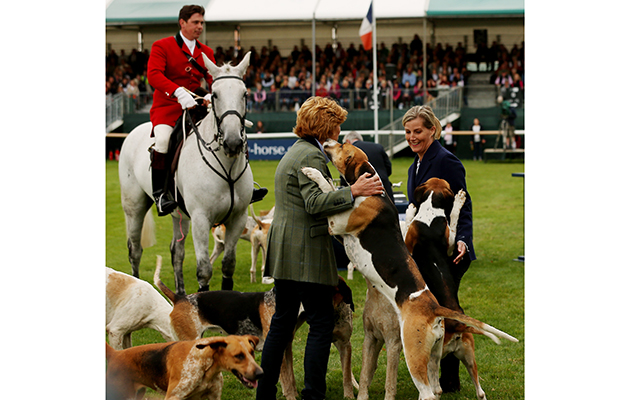 Sophie the Countess of Wessex meets the Fitzwilliam (Milton) Hunt hounds, paraded by huntsman Simon Hunter