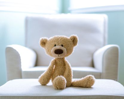 What you need to know about how to wash stuffed animals - Reviewed