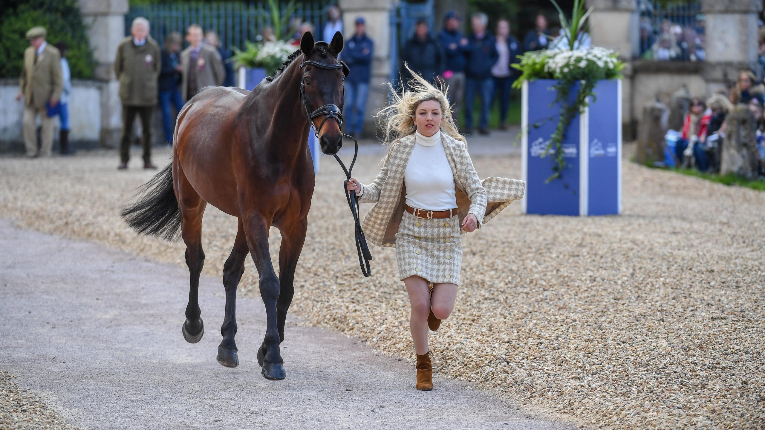 Badminton horse trials