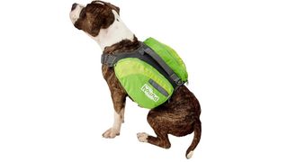 Outward Hound DayPak for Dogs