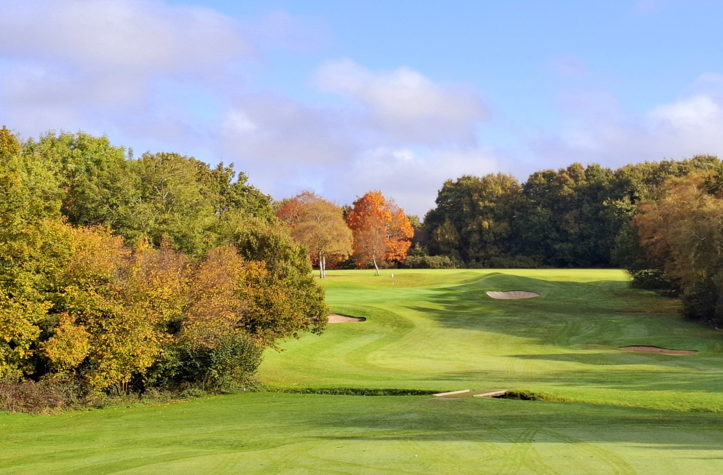 Autumnal trees on a golf course