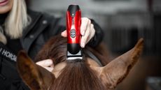 Liveryman horse trimmers