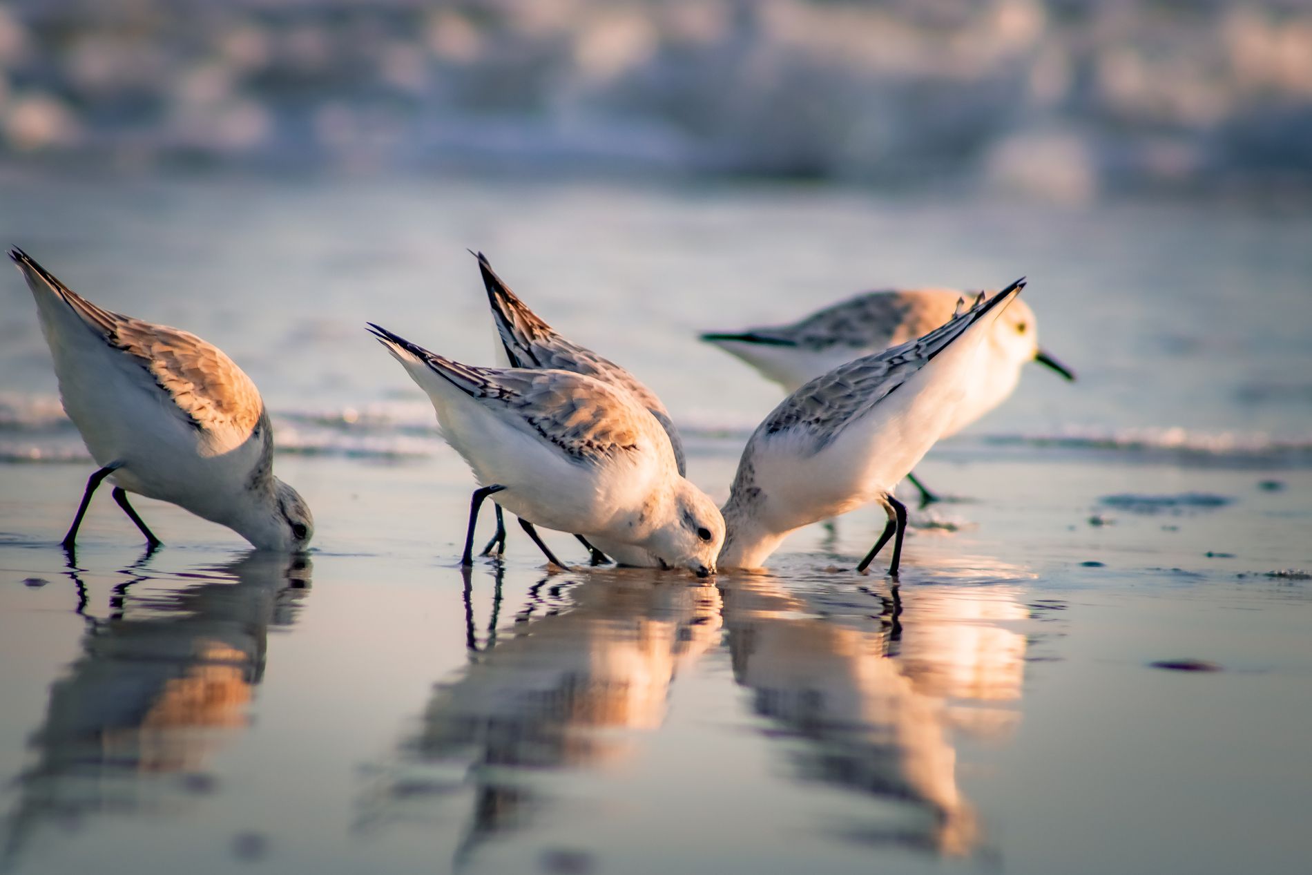 GuruShots - Nature&rsquo;s Masterpiece 2026