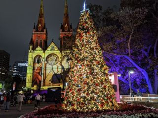 An outdoor decorated Christmas tree outside a cathedral
