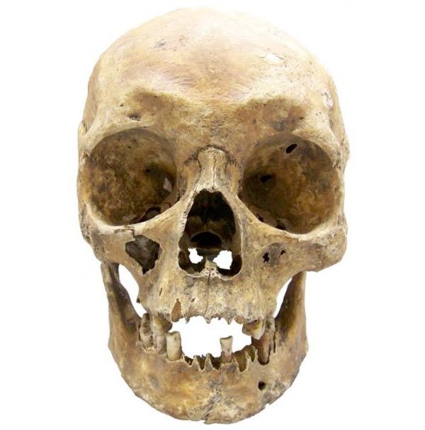 skull of polish army general