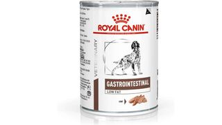 Royal Canin Veterinary Diet Gastrointestinal Low Fat dog food for allergies: