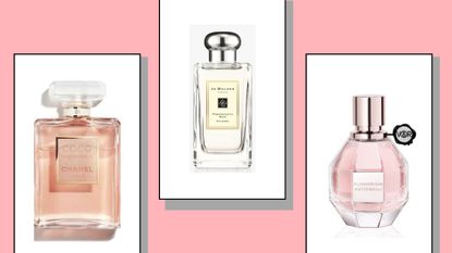 Three of the most popular perfumes in rectangle boxes on a pink background