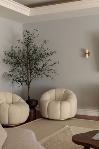 Small grey living room corner with two boucle cream armchairs and tall olive tree planter between them in a dark wood colour to match the hardwood floors and wavy coffee table