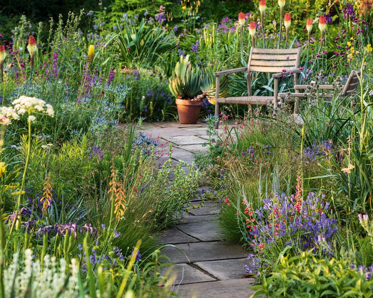 Dry gardens explained - 10 expert tips for a lush landscape | Livingetc