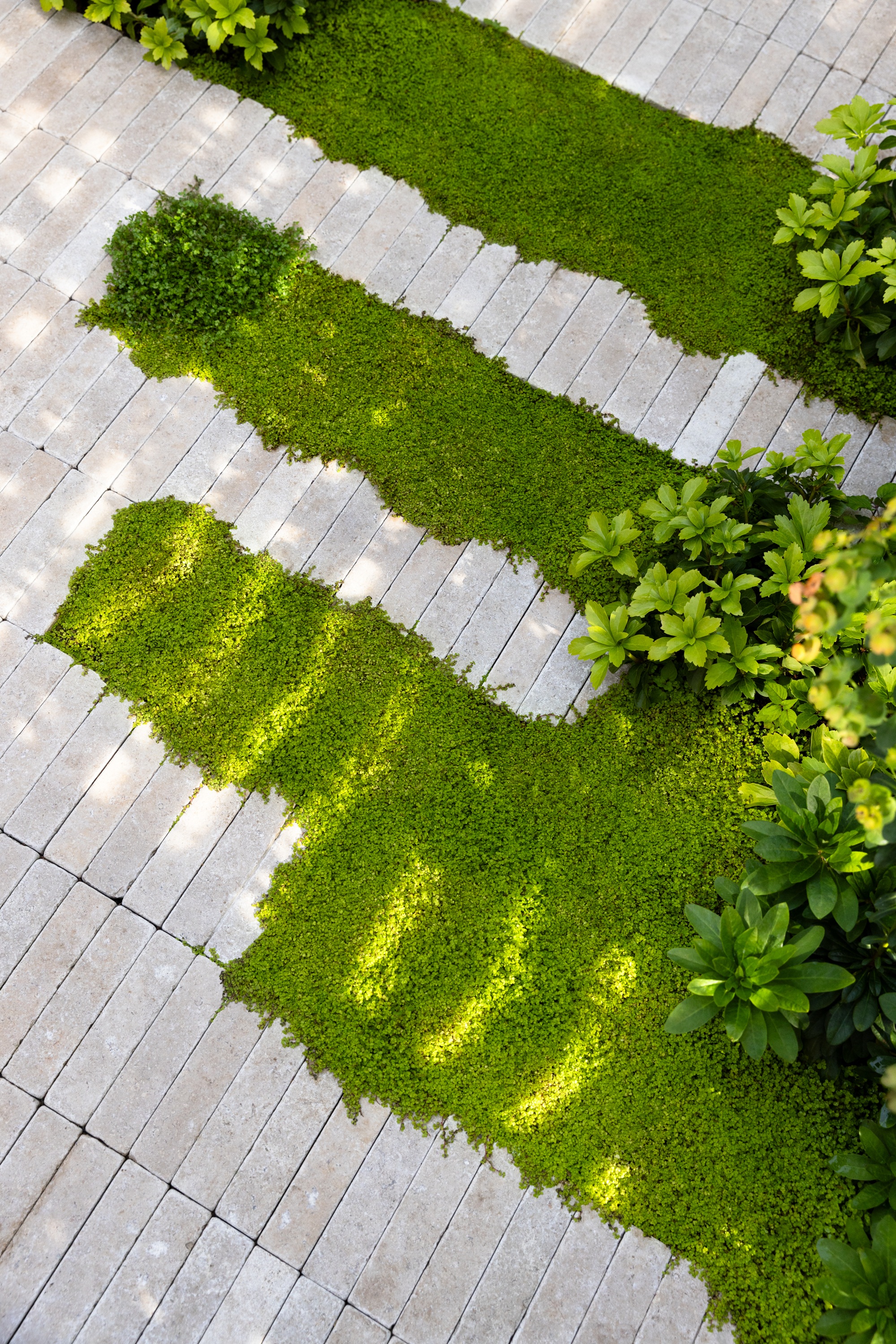 a garden patio with mind your business against rectangular grey pavers