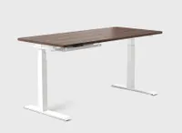 Vernal Standing Desk