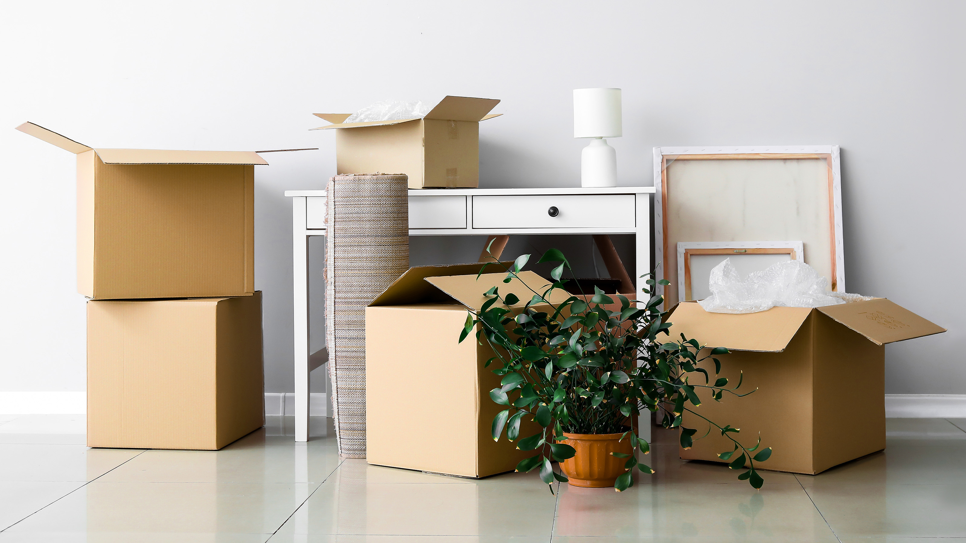 Boxes and items stacked in storage