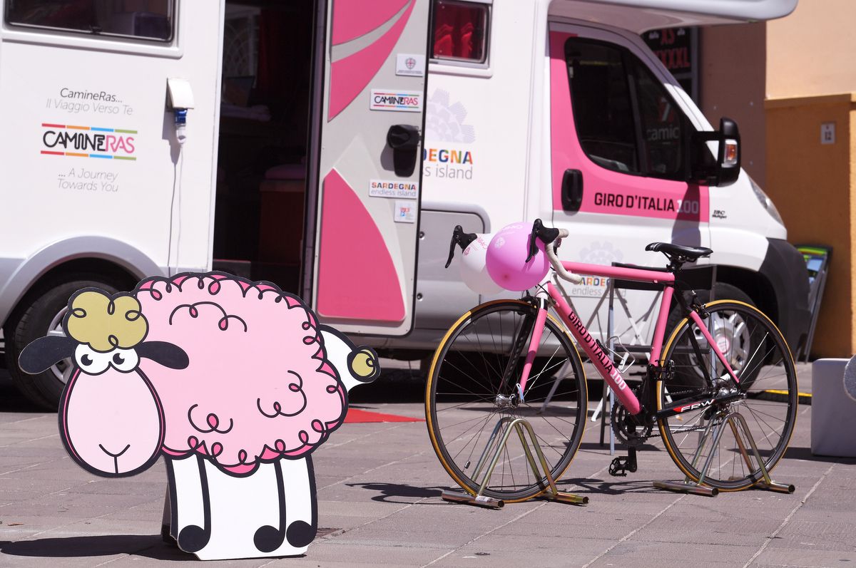 There was even pink sheep