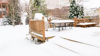 Garden covered in snow