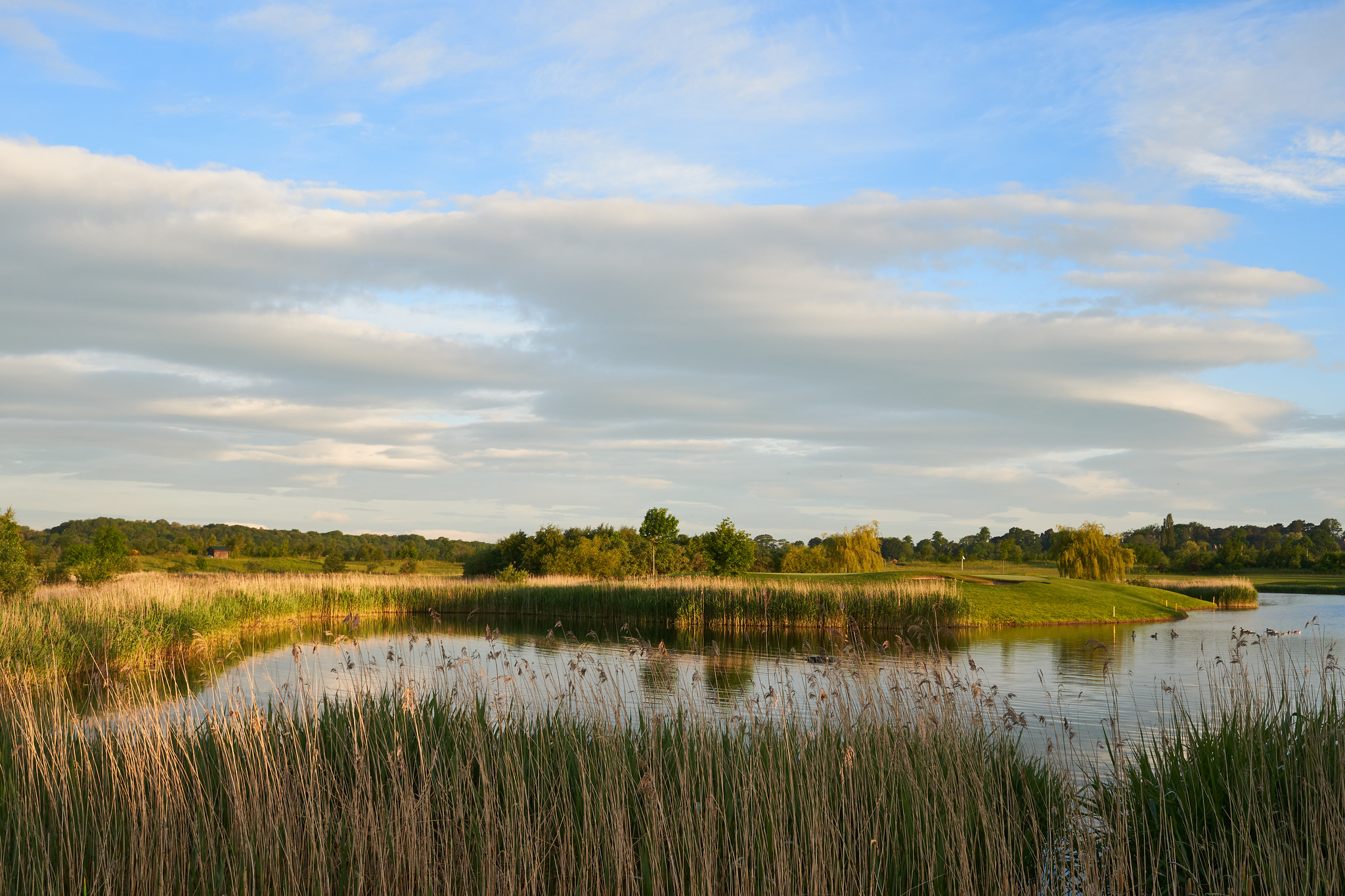 A par 3 over water at Rockliffe Hall