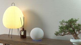 An Amaozn Echo (4th generation) on a side broad next to a lamp, reed diffuser and bonsai tree