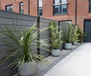 A dark grey composite fence with horizontal slatted panels in a front garden There are potted plants in contemporary containers in a row in front of the fence