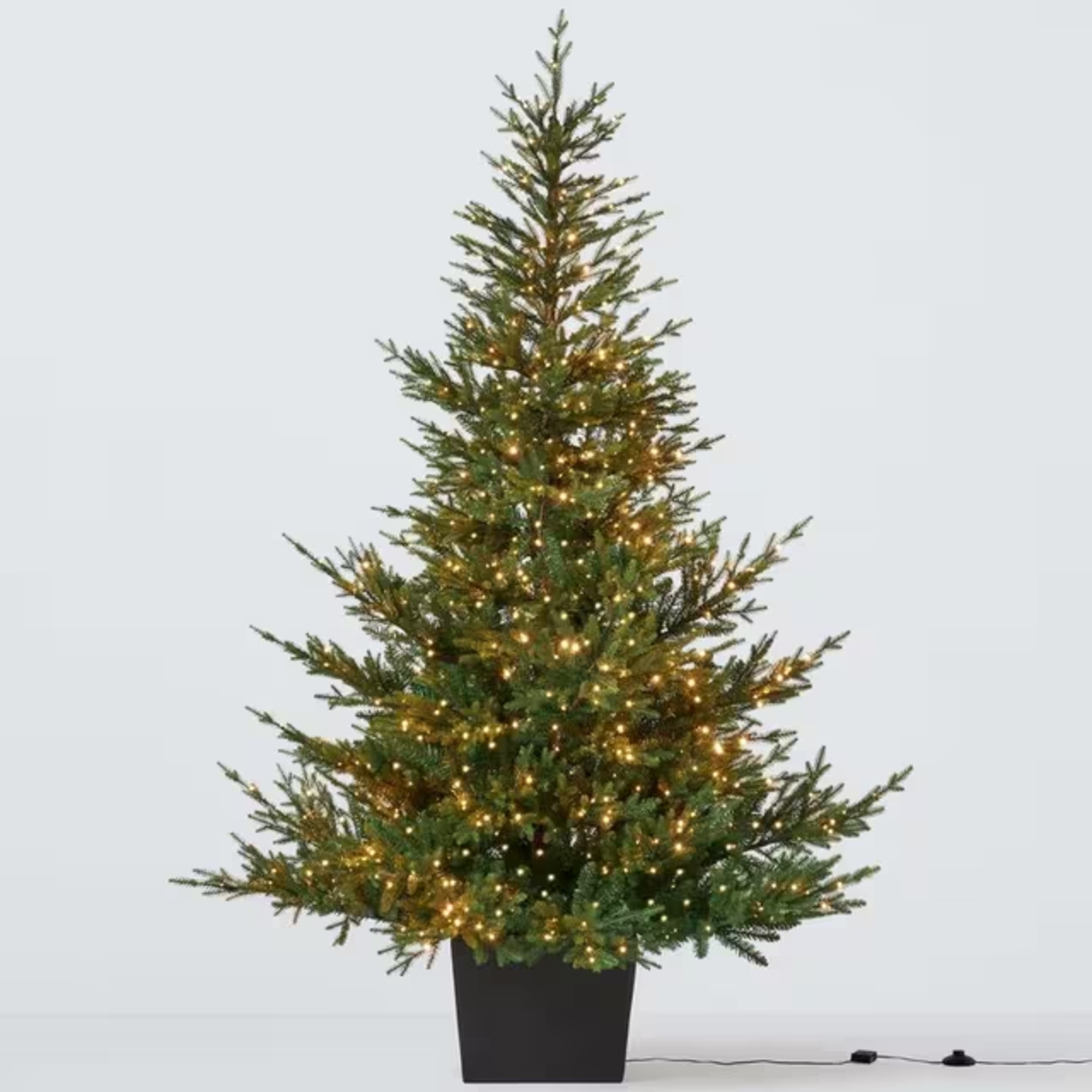 John Lewis Cotswold Potted Pre-lit Christmas Tree, 7ft