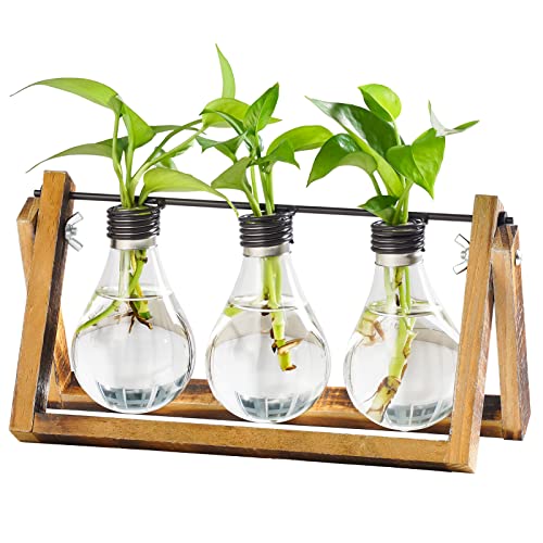 Marbrasse Plant Propagation Stations With Wooden Stand, Desktop Plant Terrarium Holder Bulb Vase, Glass Vase Container With Metal Swivel Holder for Hydroponics of Home Garden Office Decor Lover Gifts