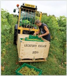 Waitrose Leckford Estate