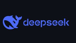 DeepSeek