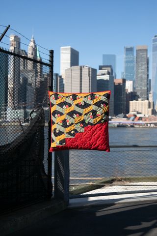 APC cushion against NYC backdrop