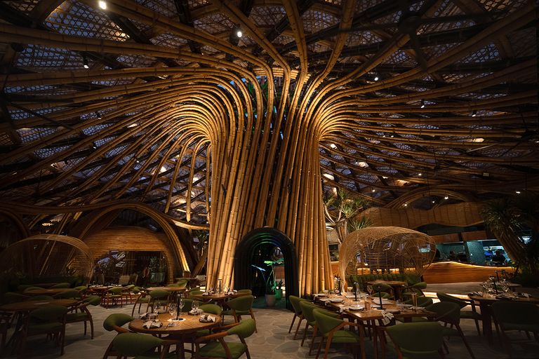 tree-like restaurant