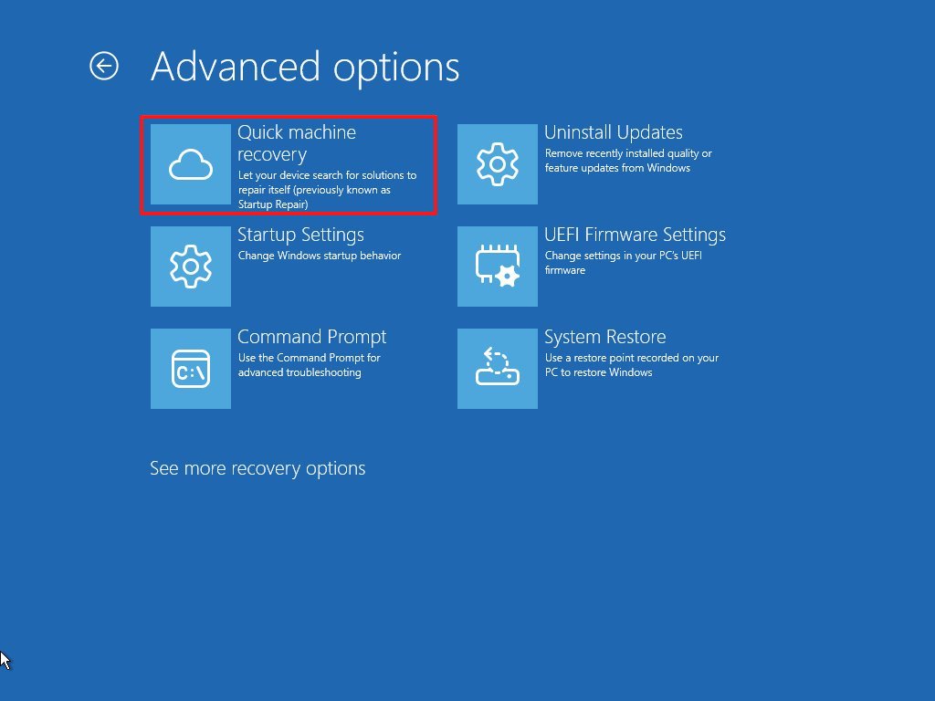 Advanced options with Quick Machine Recovery