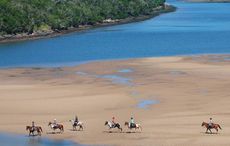 African-Horse-Safari.jpg