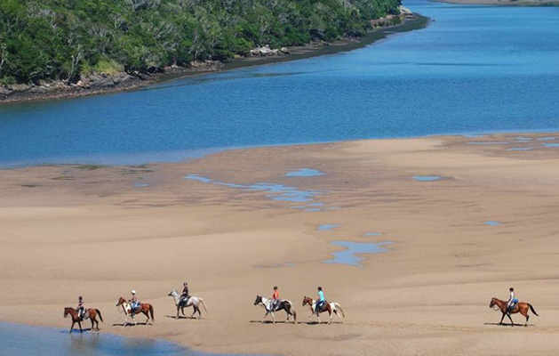 African-Horse-Safari.jpg