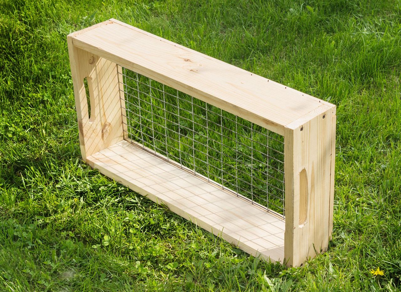 Wooden Soil Sieve On Green Grass