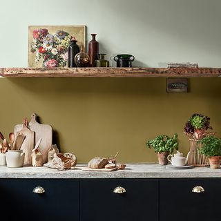 Dulux black kitchen with olive green painted wall