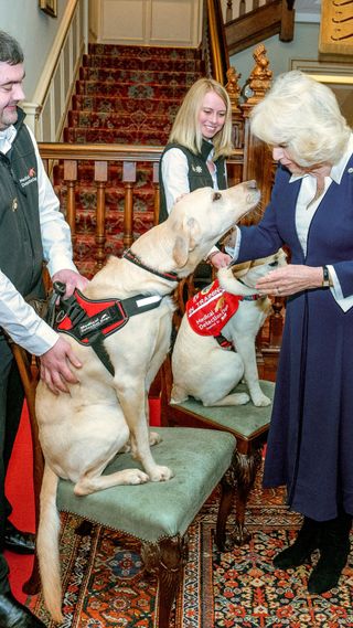 Camilla with two detection dogs.
