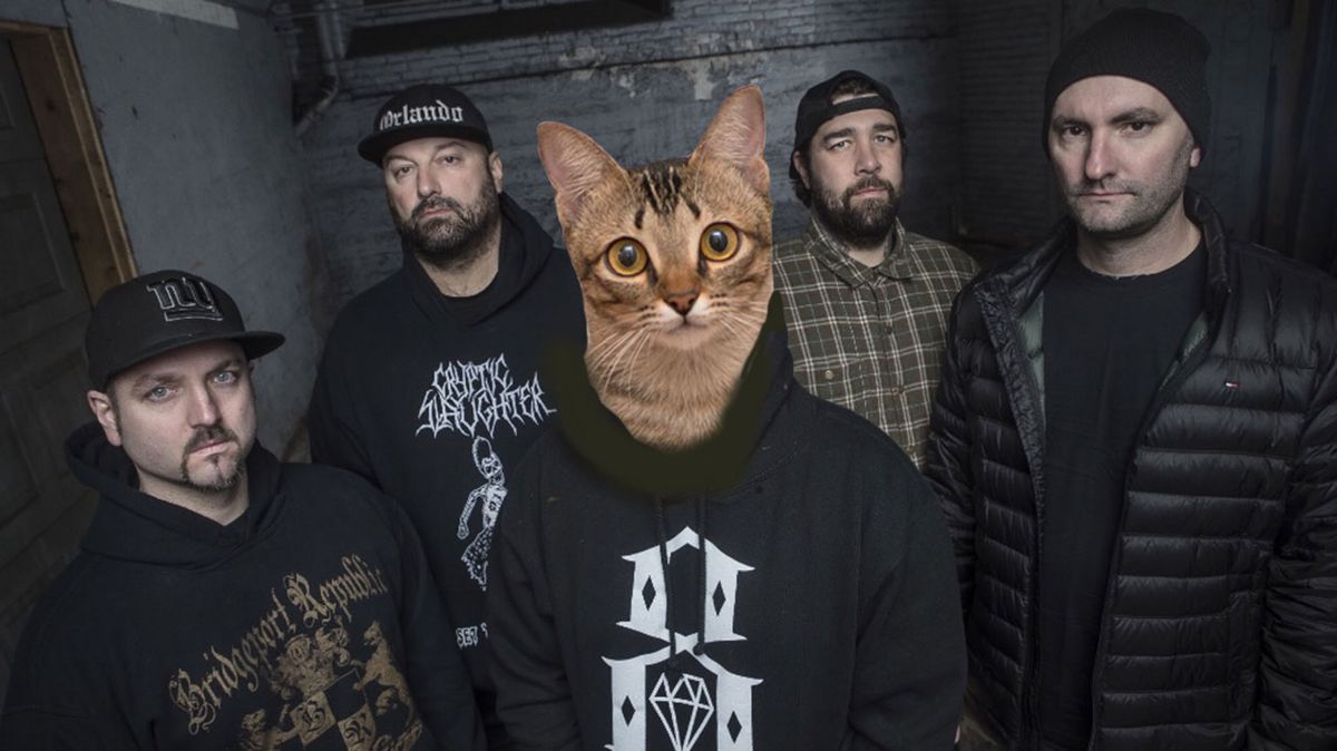 Watch cats destroy everything to Hatebreed's Destroy Everything Louder