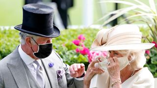 Prince Charles and Duchess Camilla struggle with their face masks