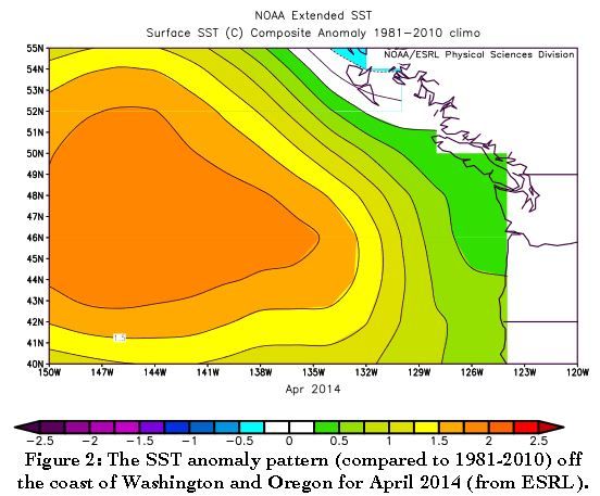 warm blob image plot