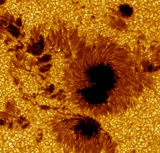 This large field-of-view image of sunspots in Active Region 10030 was observed on July 15, 2002. Researchers colored the image yellow for aesthetic reasons.