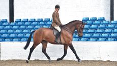 Peter Hodgkinson riding Forever Faberge