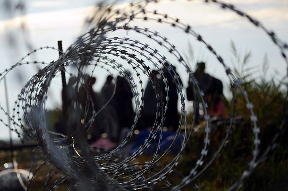 Migrants along the Hungary-Serbia border.