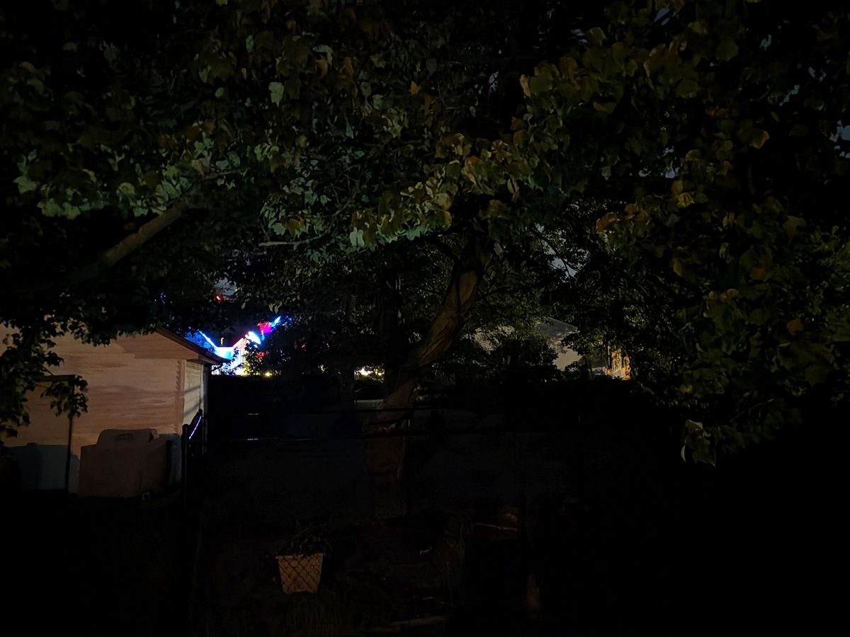 Google Pixel 11 camera sample.
