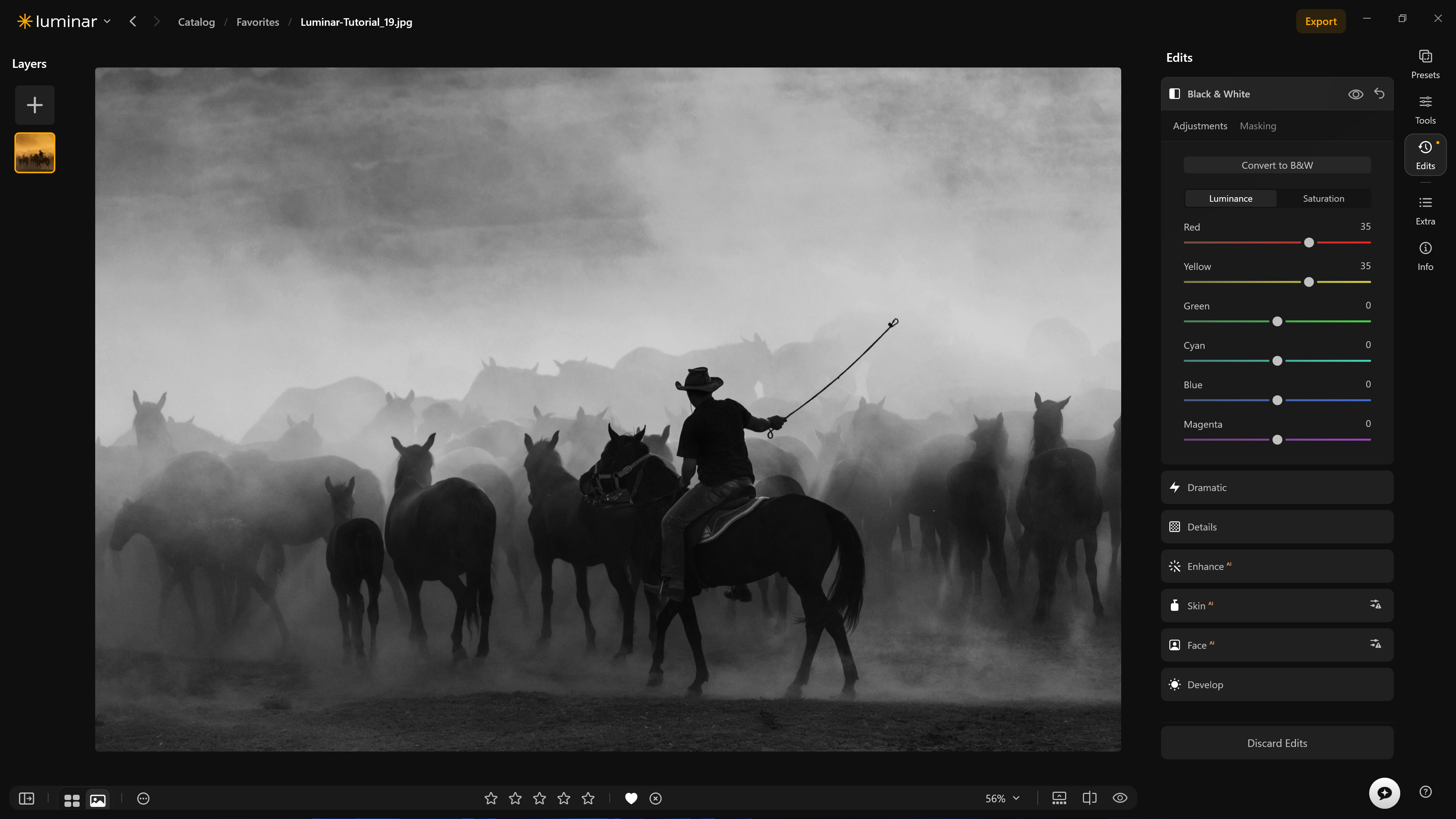 Screenshot from Luminar