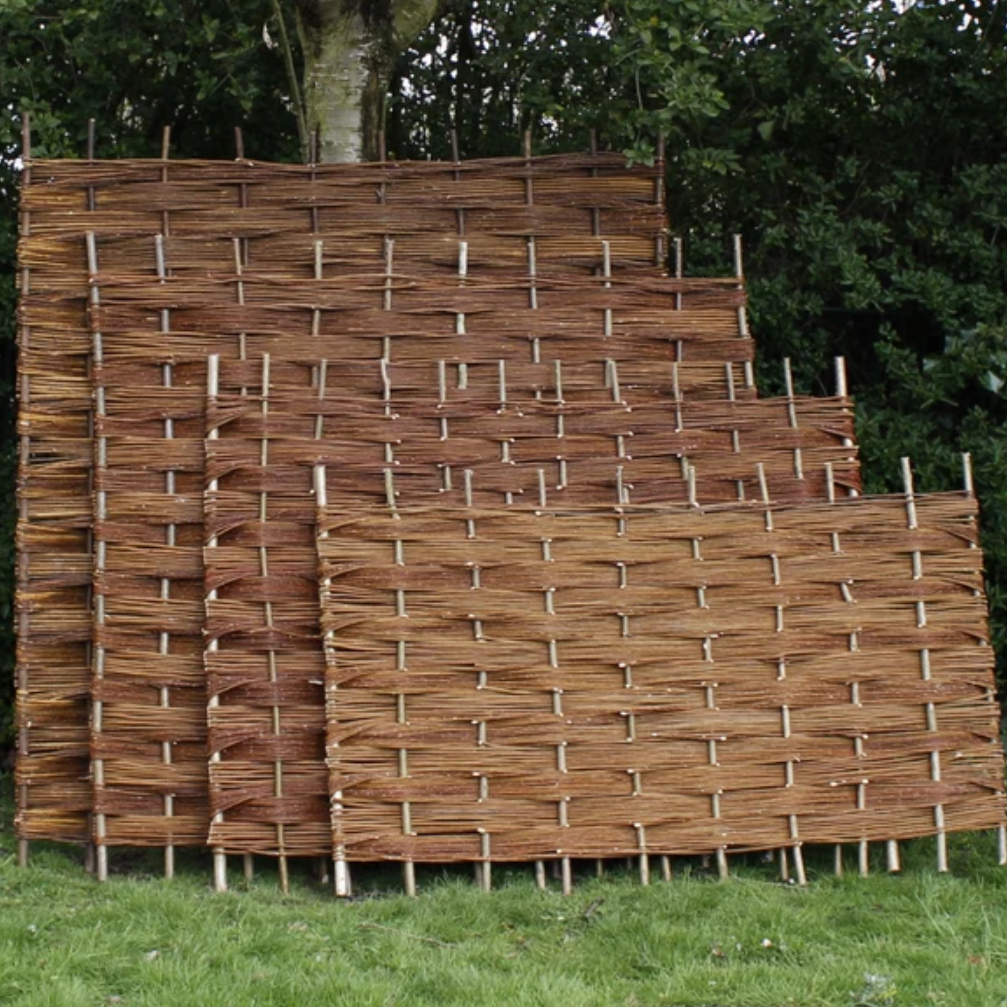 Woven fencing