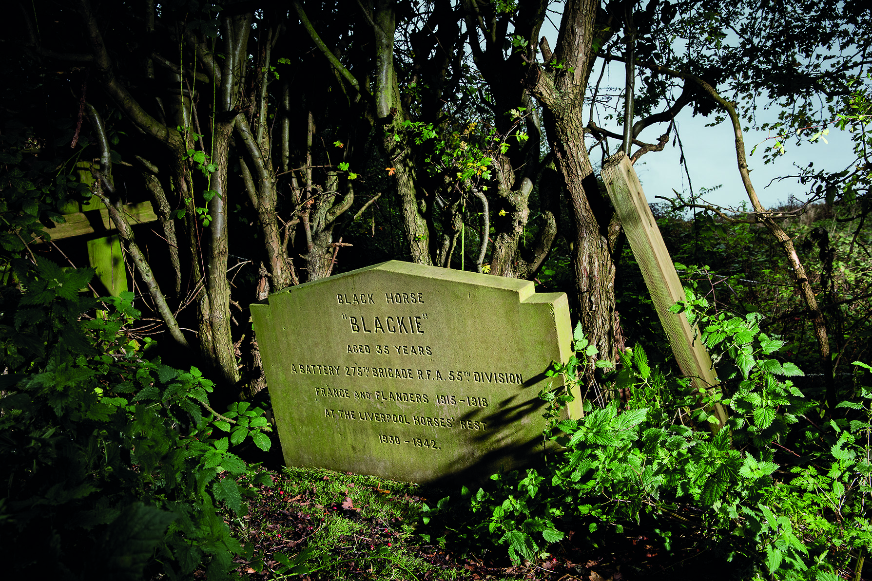 Blackie the war horse grave