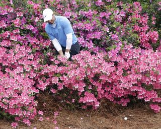 Rory McIlroy of Northern Ireland hits his golf ball out of a pack of azalea plants behind the 13th green in the 3rd round of the 2018 Masters Tournament at the Augusta National Golf Club in Augusta, Georgia,