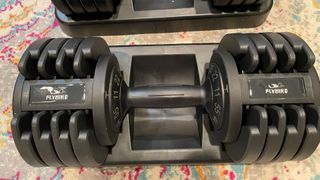 Image of adjustable dumbbells being used at home
