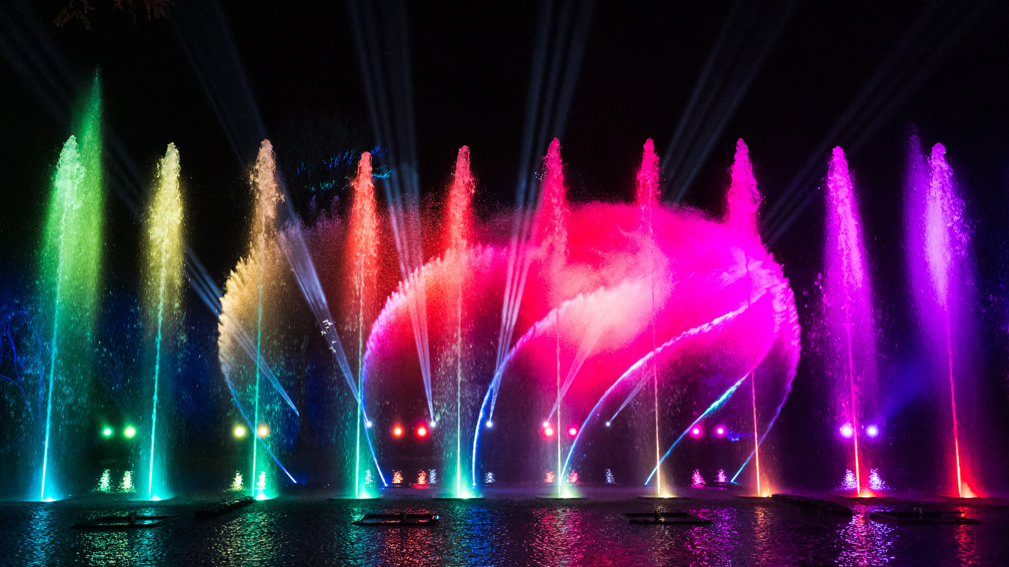 From Art Fairs to Thanksgiving Feasts – 8 Things Not To Miss This Month