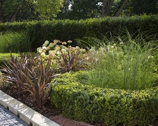 border with grasses enclosed by low hedging
